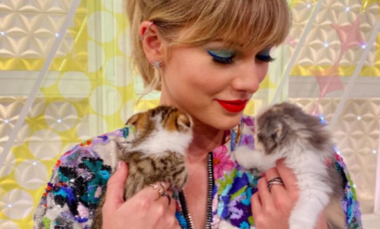 Taylor Swift Katzen