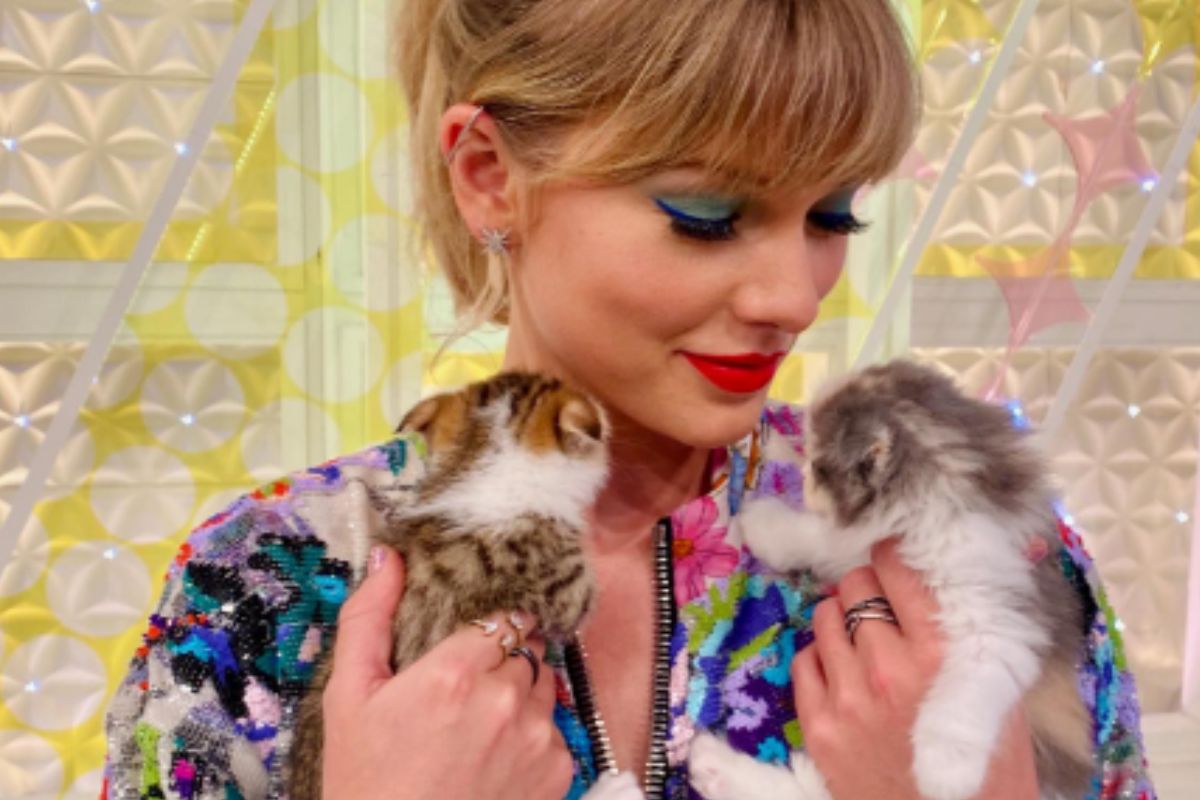 Taylor Swift Katzen